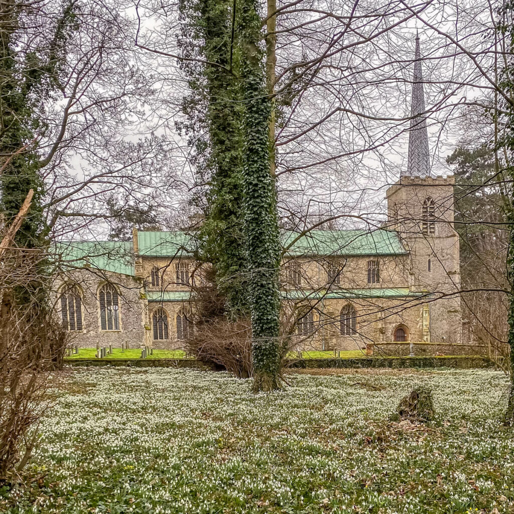 view of st marys church through the trees