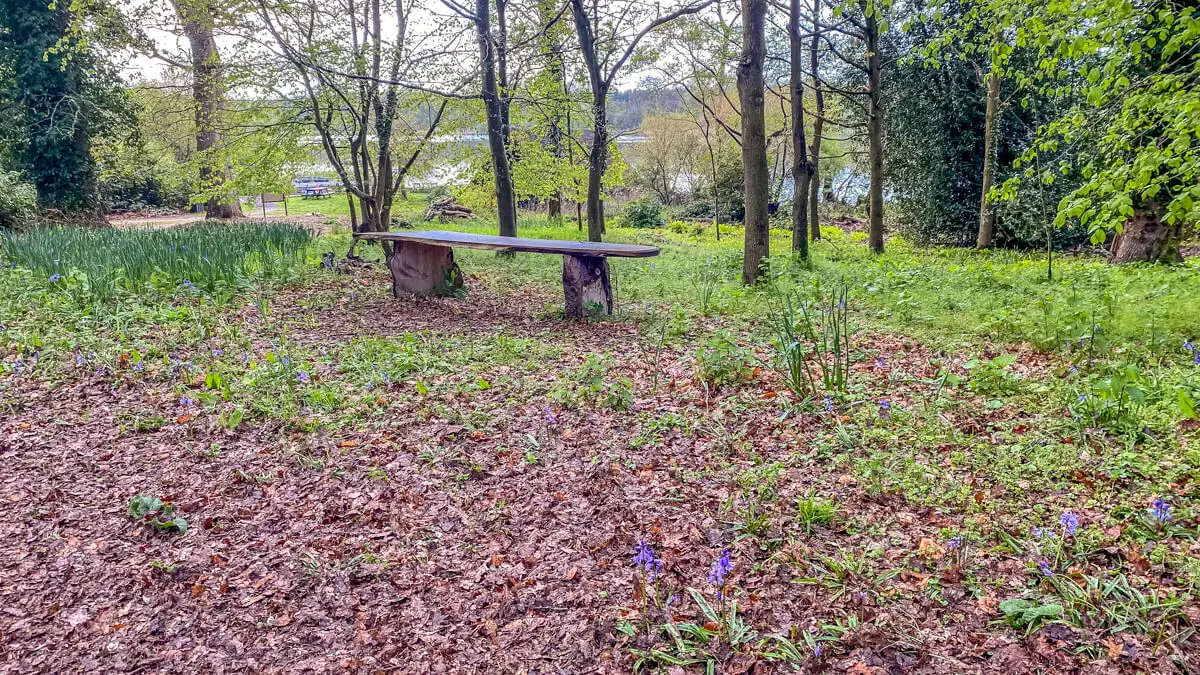 bench in the woods at fairhaven water gardens