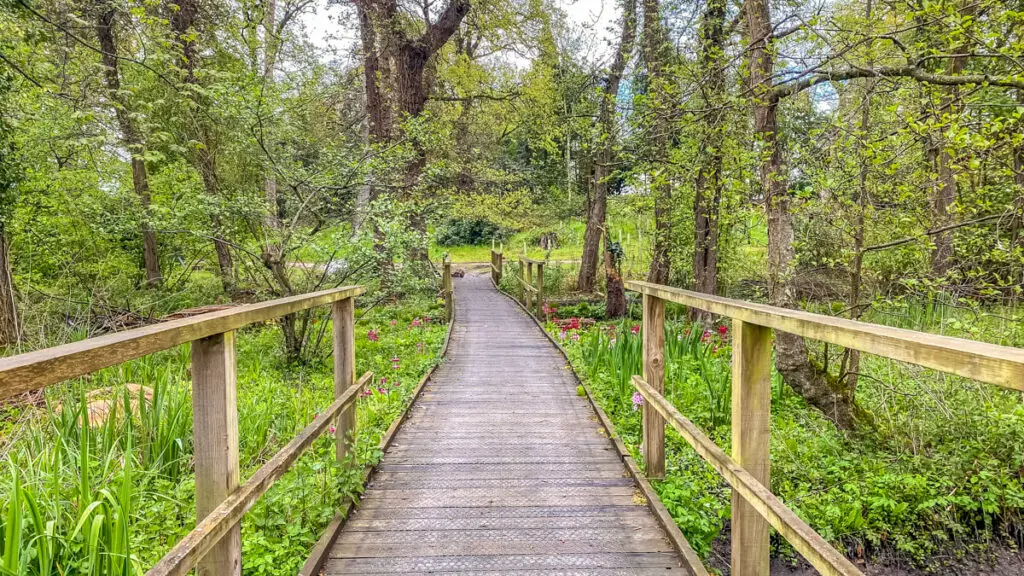 boardwalk in fairhaven water gardens