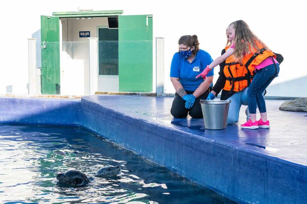 little girl and her mum feed the seals with help from Hunstanton Sea Life Centre staff