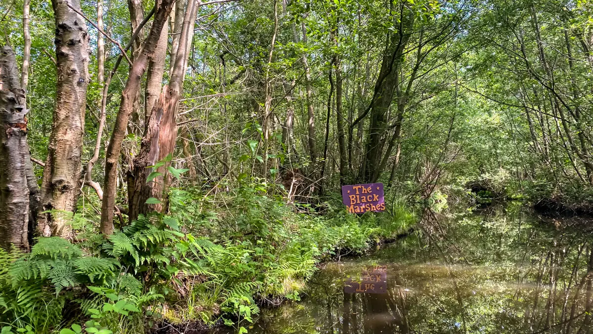 Black Marshes at Bewilderwood