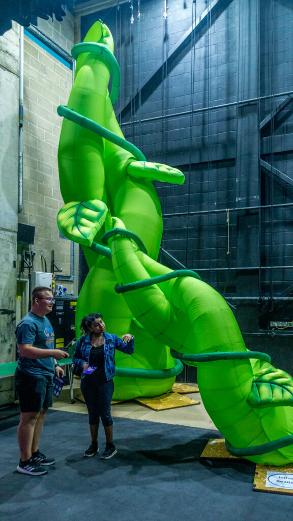 view of the inflated beanstalk from last year's panto