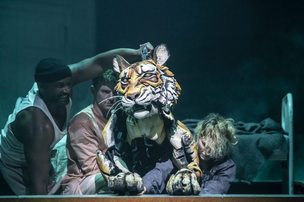 close up of Richard Parker the tiger in Life of Pi