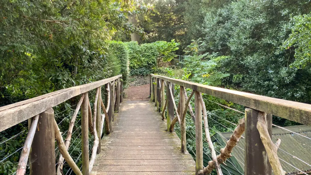 view of the rustic bridge at plantation garden in norwich, the sides are formed by tree branchess