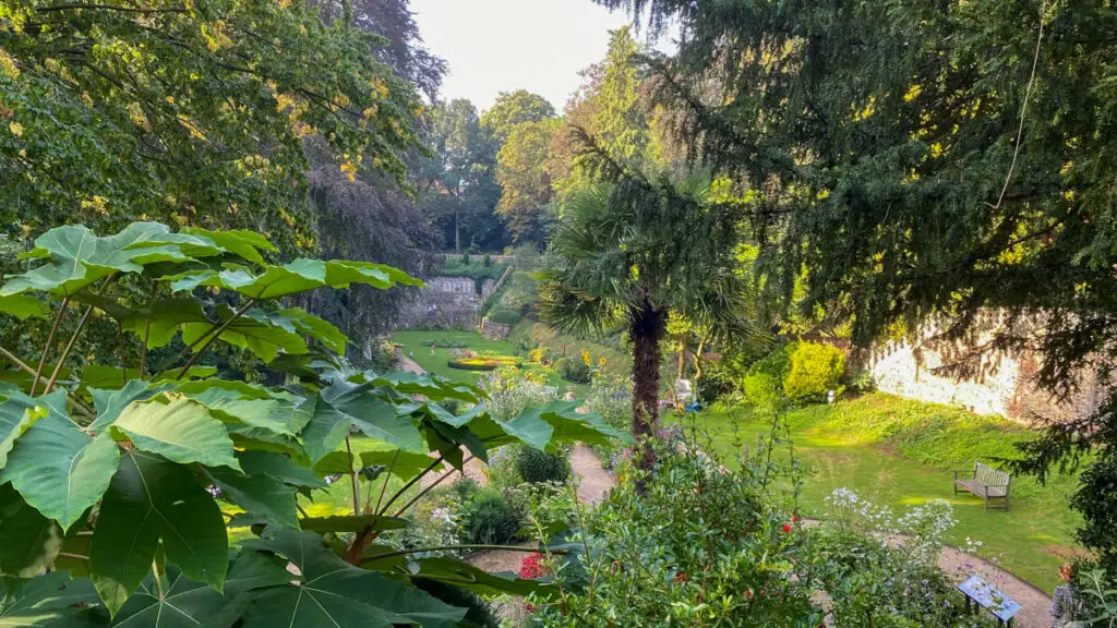 view of the Plantation Garden through the trees