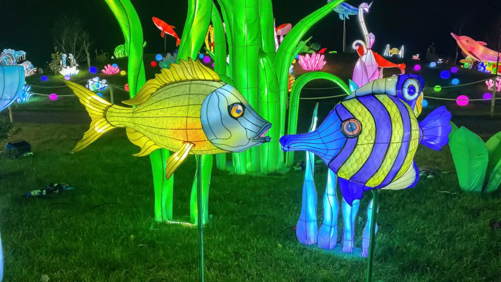 colourful fish at the Lantern Light Trail at Thursford