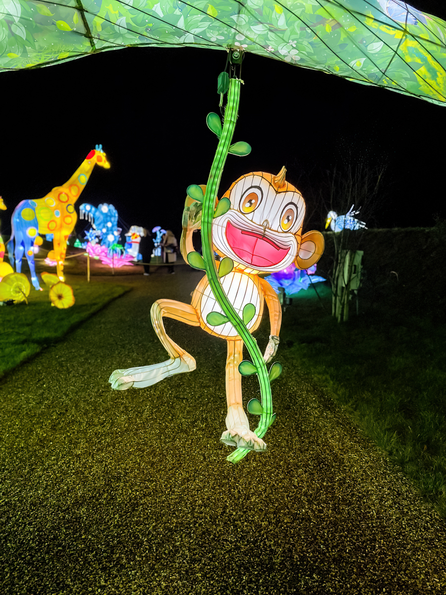 cute monkey from the lantern light trail at Thursford