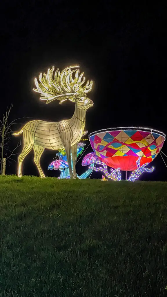 reindeer made up of white lights at the Thursford Enchanted Journey of Light