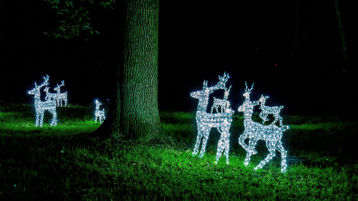 reindeer made of white lights at Luminate Sandringham