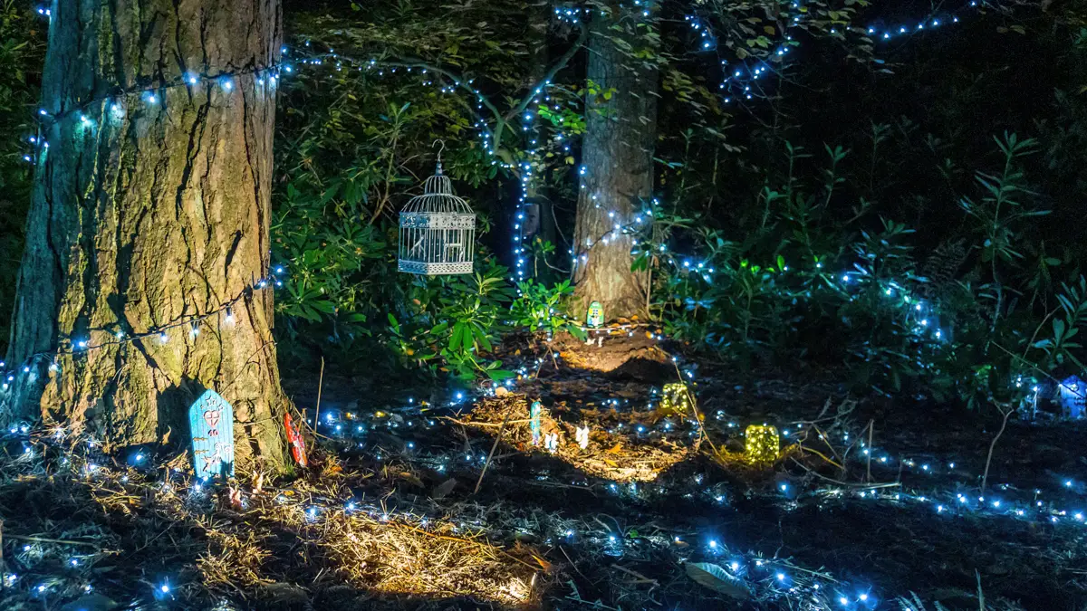 magical fairies in a bird cage at Luminate Sandringham