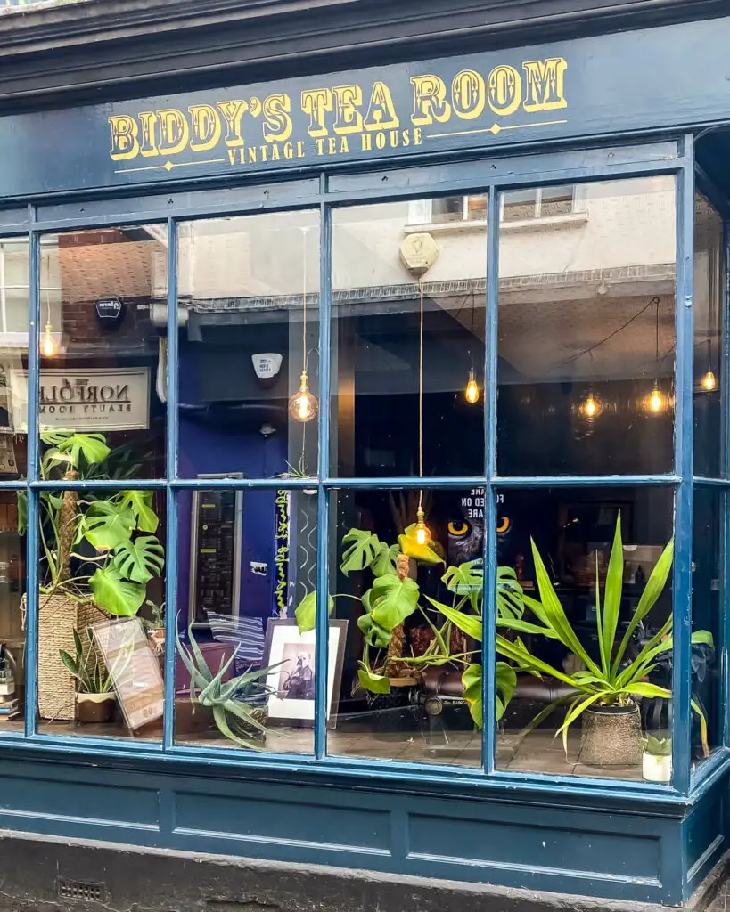 view of one of the windows of Biddy's tea room in Norwich, you can see plants inside